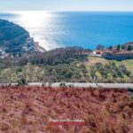 Investment in Budva