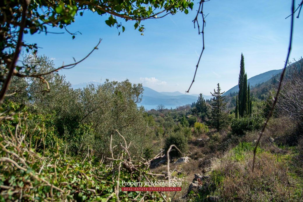 Land for sale in Herceg Novi