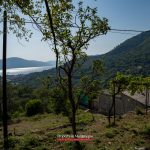 Land for sale in Tivat