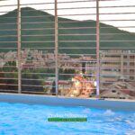 Luxury-penthouse-for-sale-in-Budva (57)