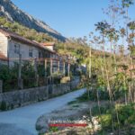 Old stone house for sale in Kotor