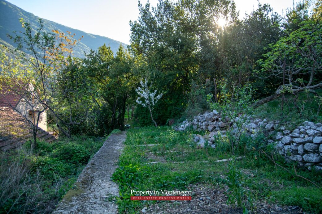 Old stone house for sale in Kotor