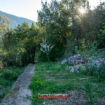 Old stone house for sale in Kotor