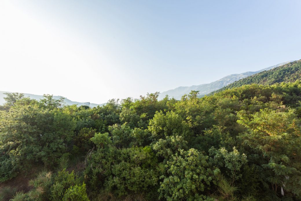 Prodaja nekretnina Budva