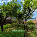 Stone house for sale in Perast