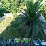 House for sale in Budva Riviera