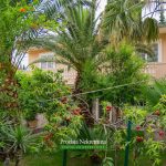 House for sale in Lustica