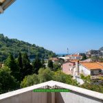 One bedroom apartment in Petrovac