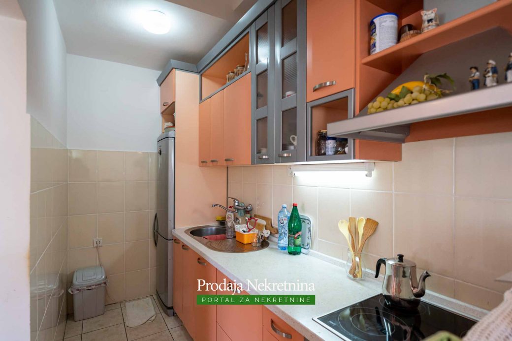 One bedroom apartment in Petrovac