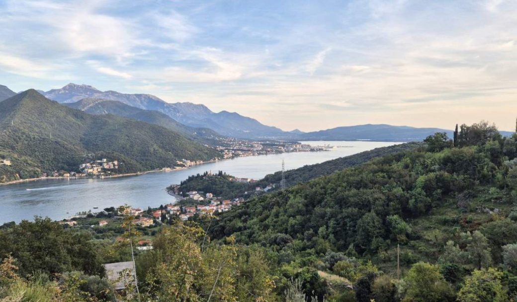 herceg-novi-land-plot-558-sqm-montenegro-for-sale-P-02636 (7)