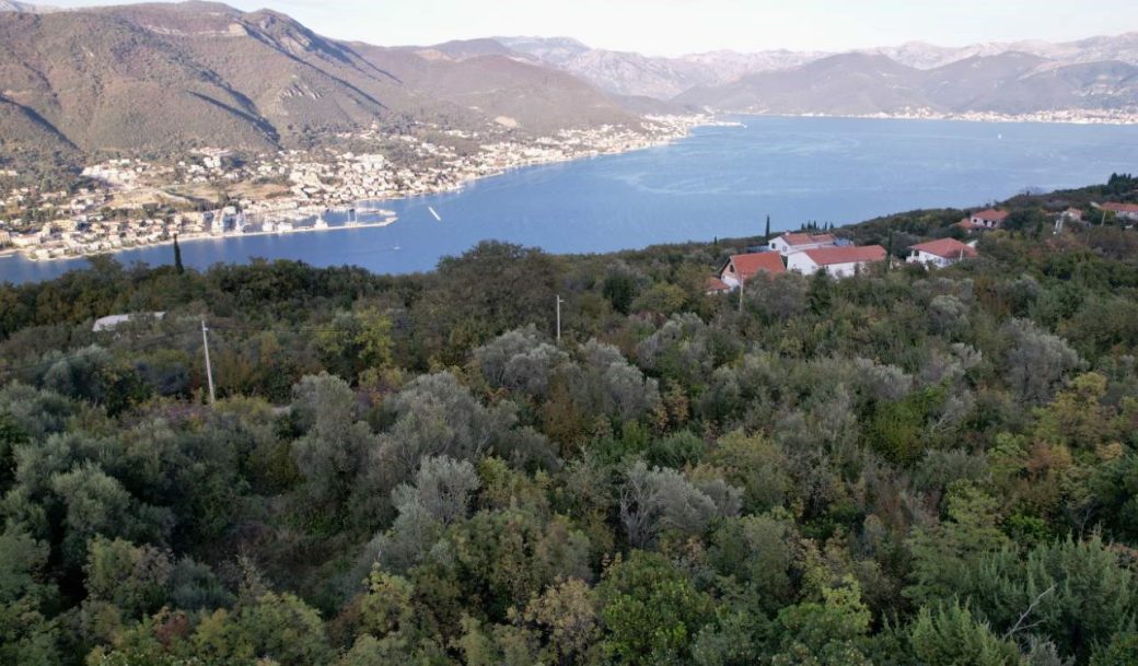 herceg-novi-lustica-zabrdje-land-plot-1680-sqm-montenegro-for-sale-P-02659 (2)